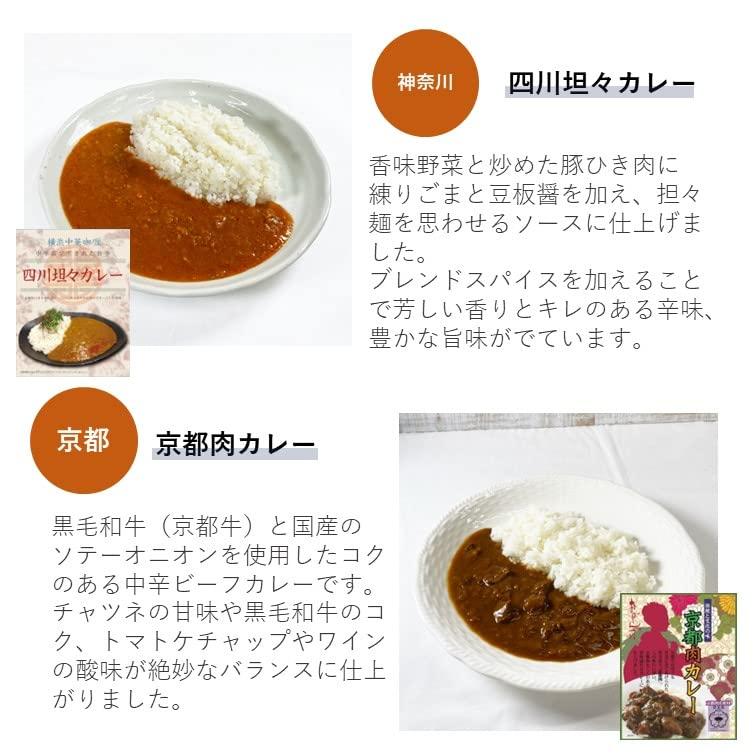 ベル食品工業 レトルトカレー 詰め合わせ 10食 セット オリジナルカレー 日本各地 ご当地カレー 【アレンジレシピ1枚付き】