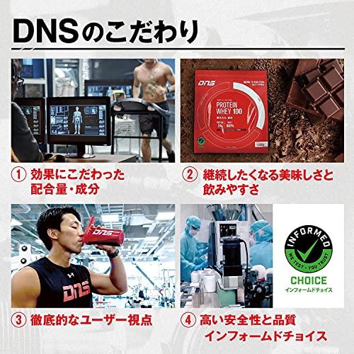 Buy DNS protein whey protein G+ chocolate flavor 330g (33g x 10