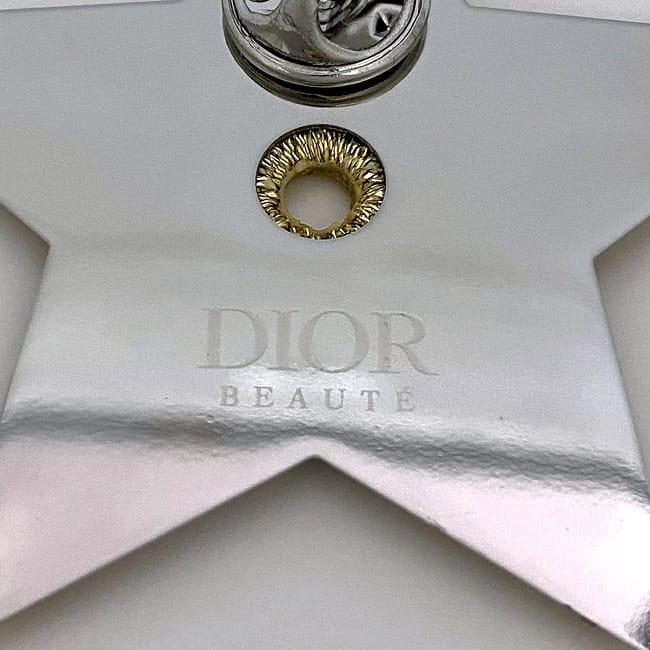 DIOR STAR PIN