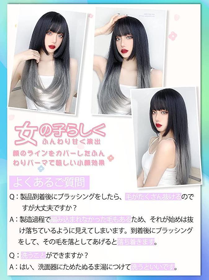 ウィッグ ロング 女性用 かつら ストレート 姫カット 姫髪 ブラック