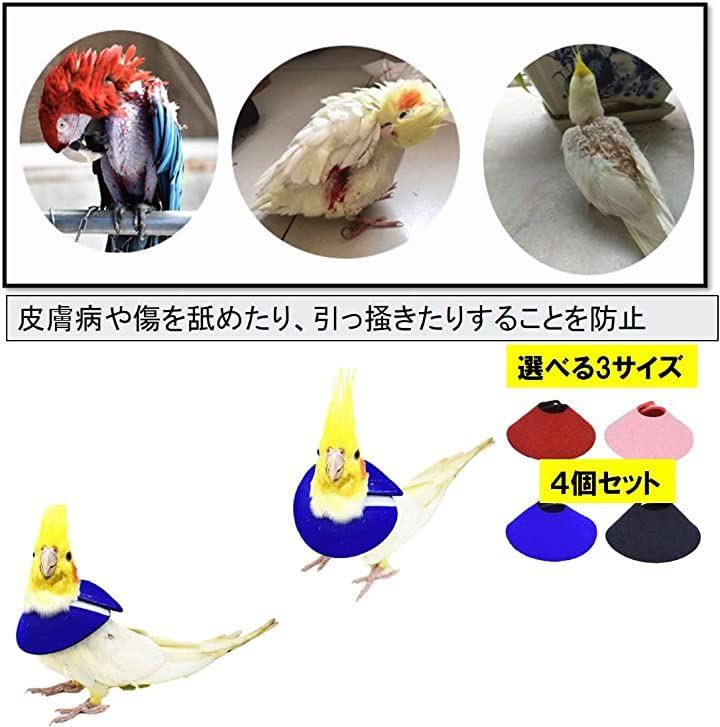 エリザベスカラー ニコ柄／オカメインコ用 毛引き対策 治療補助