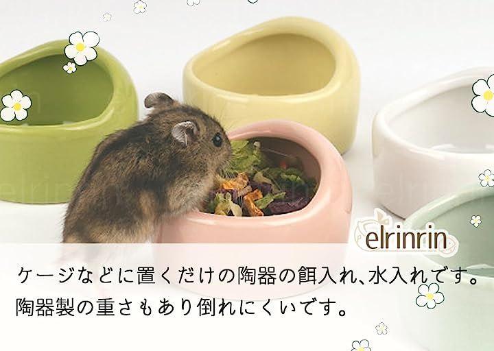 餌入れ 水飲み 置き型 陶器 エサ 水入れ えさ入れ 小鳥 フードボウル フードフィーダー 小動物 皿 日本の商品を世界中にお届け  ZenPlus