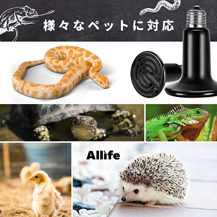 小動物用 ヒーター - 小動物用品