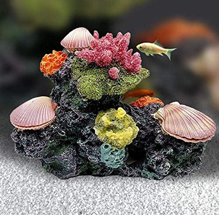 珊瑚 貝殻 33cm アクアリウム-