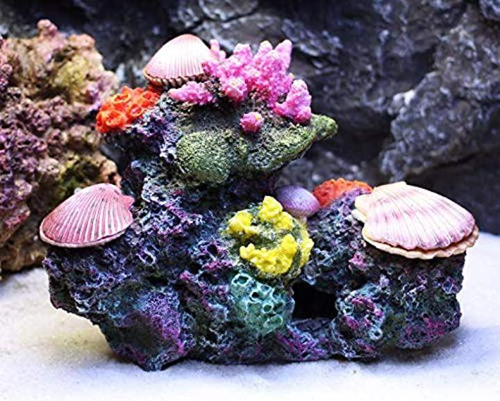 珊瑚 貝殻 33cm アクアリウム-