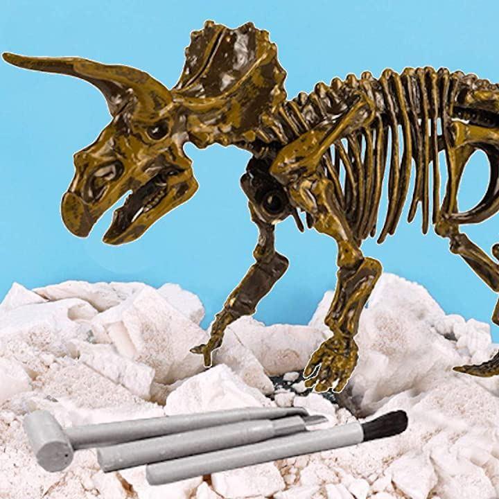 ドキドキ！恐竜化石発掘セット トリケラトプス - 特撮