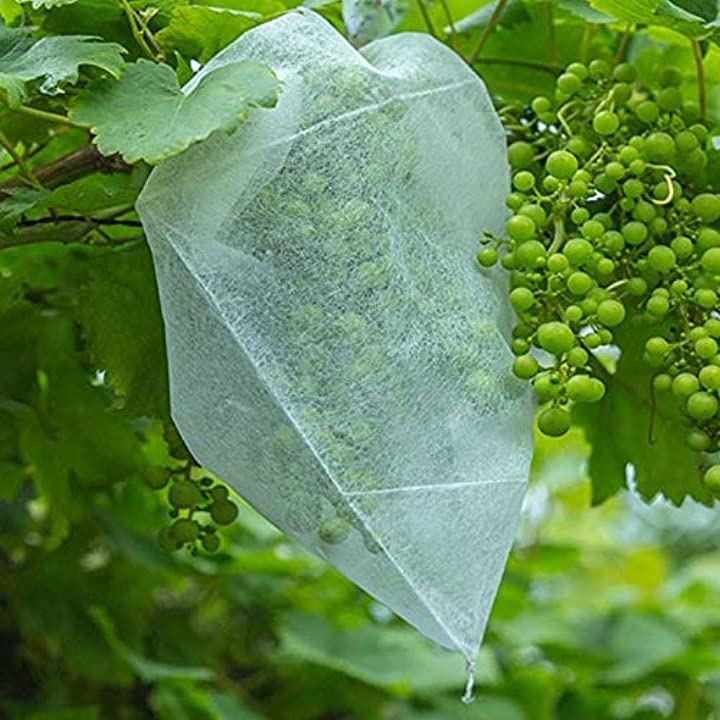 果物袋 保護ネット 防虫 防鳥 巾着袋 害虫 鳥よけ網 フルーツ 農業