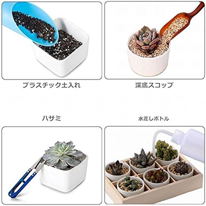 多肉植物 室内 ミニ ガーデニング ツール 15点 園芸 用品 セット インテリア 苗 寄せ植え テラリウム ハオルチア サボテン 観葉植物 シャベル  スコップ T型 フラワーラベル 10枚 付き A303 - 日本の商品を世界中にお届け | ZenPlus