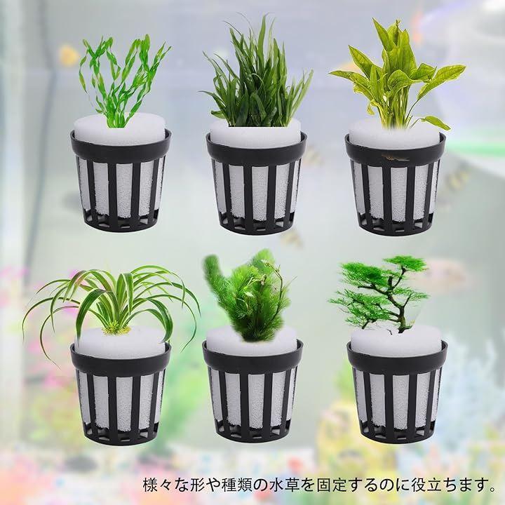 水槽用 水草 固定リング 植栽カップ 植栽スポンジ 水草植栽3種各5個