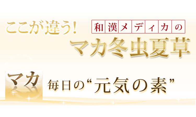 市場 野口医学研究所 マカプレミアム サプリメント 明治薬品 サプリ 210粒