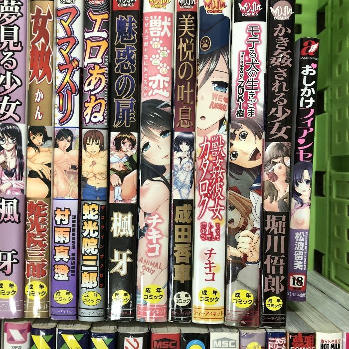 アダルト コミック まとめて 30冊以上 セット 山文京伝 楓牙 成田香車 ハッチ 鬼窪浩久 他 - 日本の商品を世界中にお届け | ZenPlus