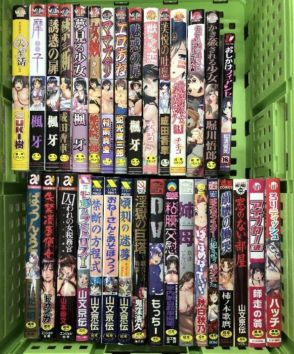 アダルト コミック まとめて 30冊以上 セット 山文京伝 楓牙 成田香車 ハッチ 鬼窪浩久 他 - 日本の商品を世界中にお届け | ZenPlus