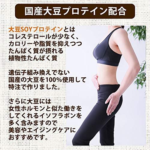 大地の生菓 ソイプロテイン 大豆プロテイン 黒ごま かりんとう 400g 置き換え 女性 トレーニング ダイエット 大豆たんぱく Zenplus