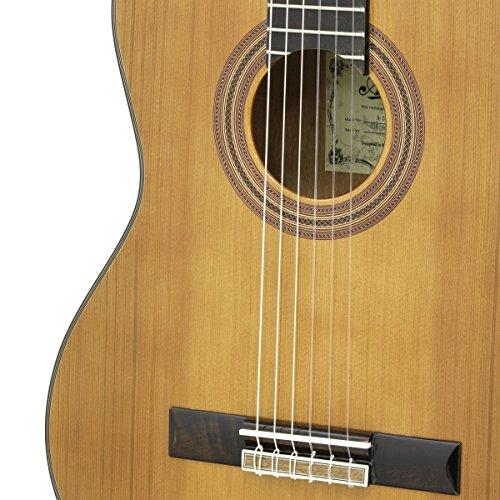 Buy ARIA Aria Classic Guitar Electric Cutaway Model with Soft Case