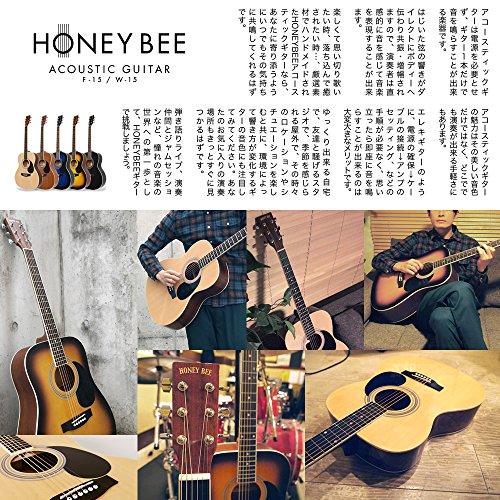 HONEY BEE Acoustic Guitar Folk Guitar Type F-15 / N