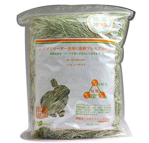 Bermuda hay 2024 for guinea pigs