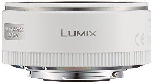 Buy Panasonic Standard Zoom Lens for Micro Four Thirds Lumix G X
