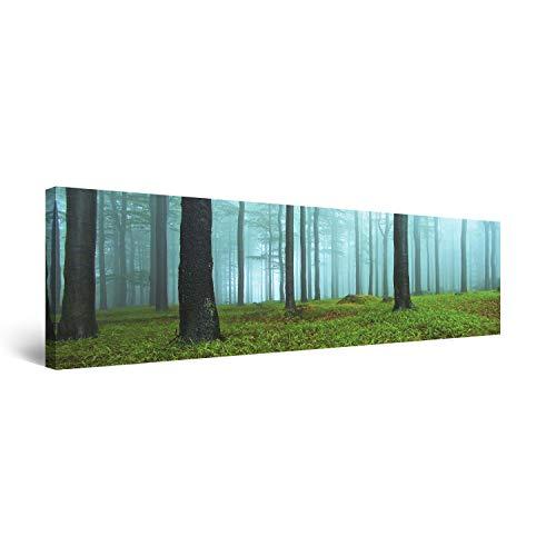 Buy Startonight Canvas Wall Art Morning the Woods% Comma% Nature