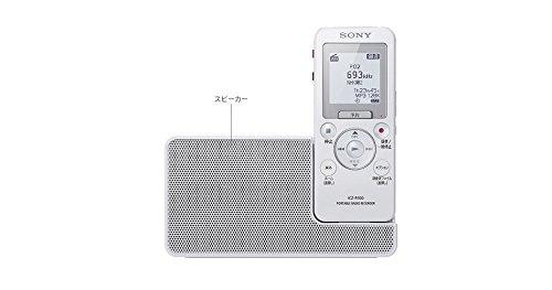 Buy Sony Portable Radio IC Recorder 8GB FM / AM Radio Scheduled