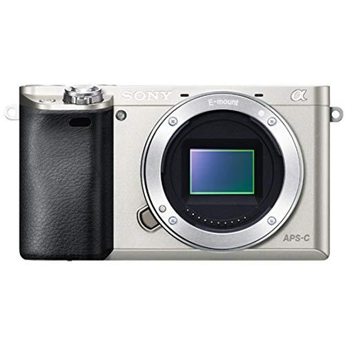 Buy Sony Mirrorless Single Eye α6000 Body Silver ILCE-6000 S from
