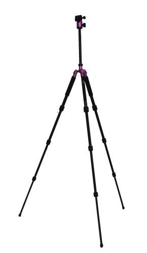 Buy Fotopro tripod C-4i PLUS P 4-stage medium-sized free platform