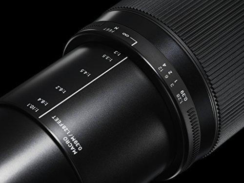 Buy SIGMA 18-300mm F3.5-6.3 DC MACRO OS HSM | Contemporary C014