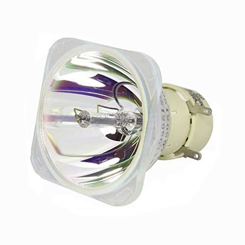 Rich Lighting プロジェクター 交換用 ランプ タイプ9 (裸電球) 308991