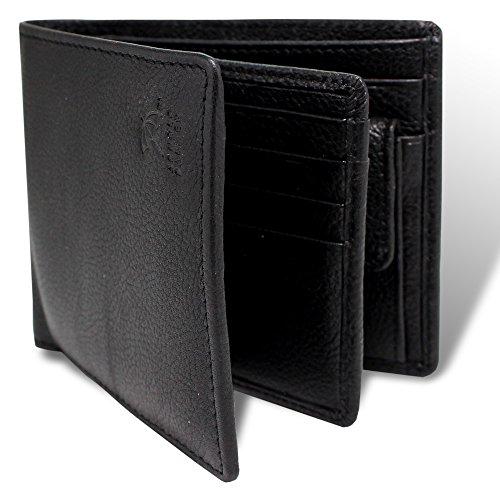 The Bella Bifold