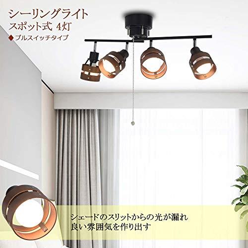 Retro hot sale ceiling light