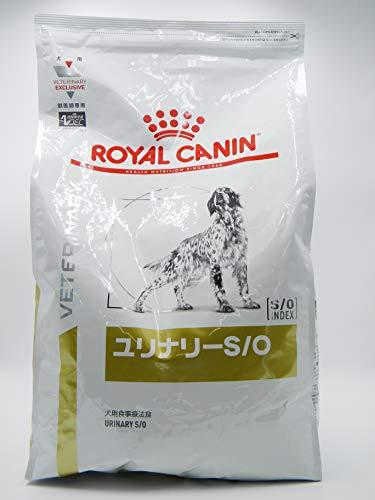 canin dog food