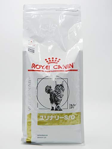 Buy Royal Canin Cat Food Urinary S / O 2kg from Japan - Buy