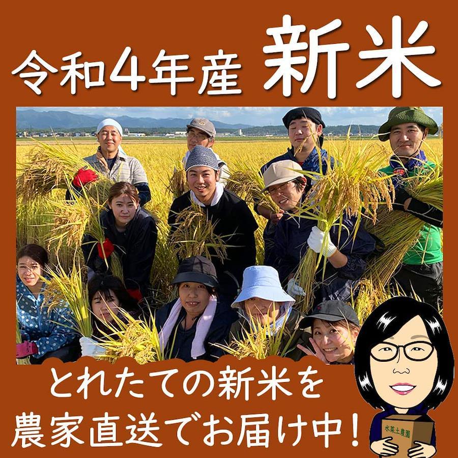 水菜土農園精米令和4年産 秋田県産 あきたこまち 15kg (5kg×3袋) 古代