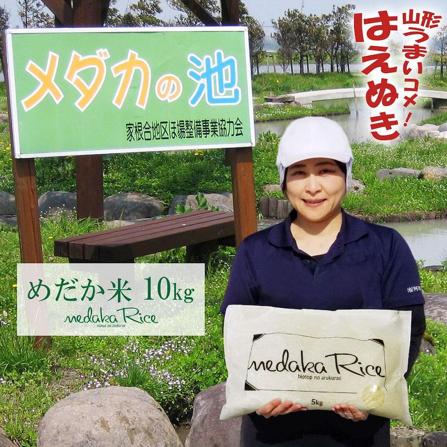 Buy [No-Wash Rice] Medaka Rice 10kg (2 x 5kg Bags) - Rice Grown in ...