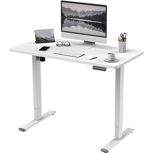 Buy FLEXISPOT Electric Standing Desk (Width 120 x Depth 60% Cum