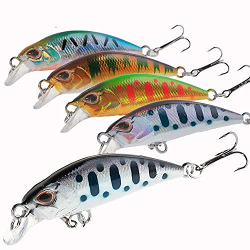 Buy Contyu mountain stream lure, Trout minnow 5 pieces, Thinking 4.5cm 4g  hologram, Flat flat with case (4% comma% 4.5cm) from Japan - Buy authentic  Plus exclusive items from Japan