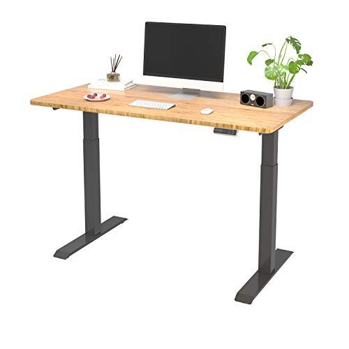 FLEXISPOT Standing Desk Electric Lifting Desk EJ2 (Foot (Black) + Top Plate  (Bamboo)% Comma% No Top Plate)