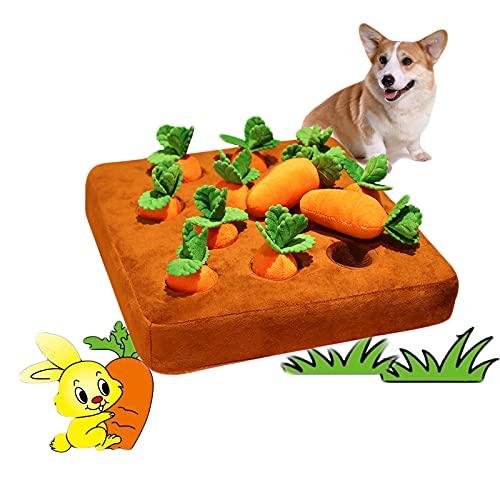 Buy Dogs Toys Pet Supplies Educational Toys Dog Carrot Nose Work