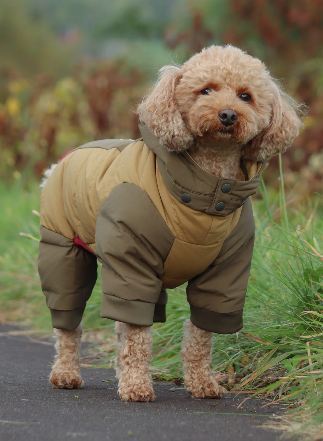 サン吉様専用○犬服○ハンドメイド 胴38 NO.364 - 犬用品