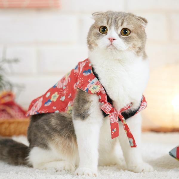 あったか裏ボアちゃんちゃんこ ３号 - 日本の商品を世界中にお届け | ZenPlus