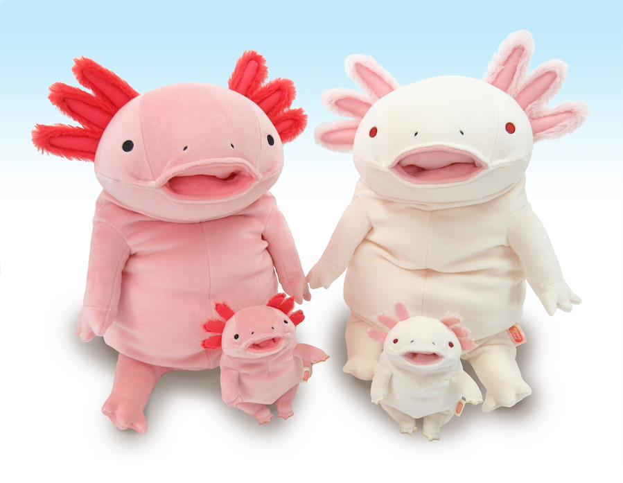 Buy Shinada Global - Mochi Upa Pink Large size - Mochi Axolotl Pink ...