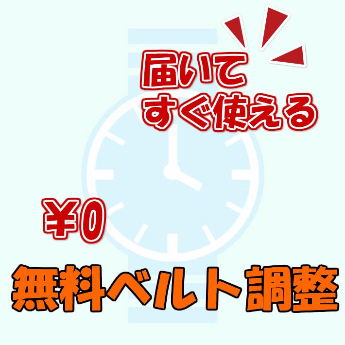 セイコー SEIKO 腕時計 人気 ウォッチ SFQ798P1１年間