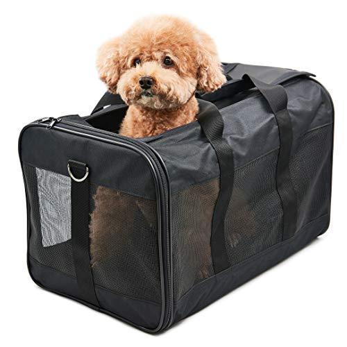 Dog Backpack / Small Dog Accessories / Cats Backpack / Puppy