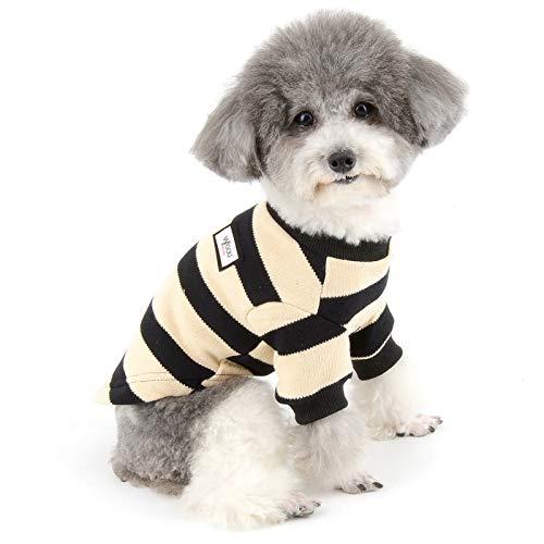 Chihuahua winter clearance clothes