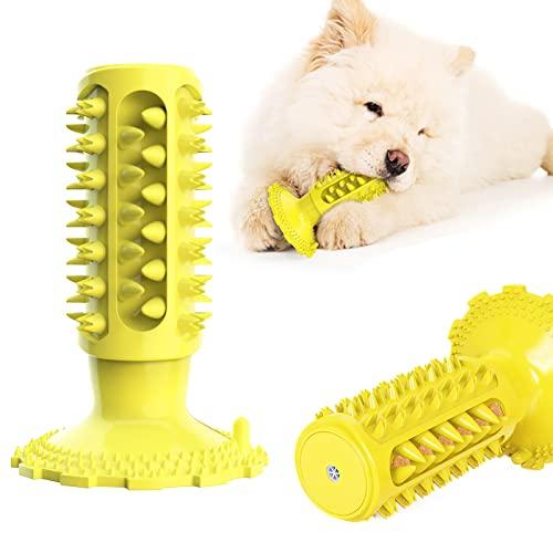 Chew toy 2025 toothbrush for dogs