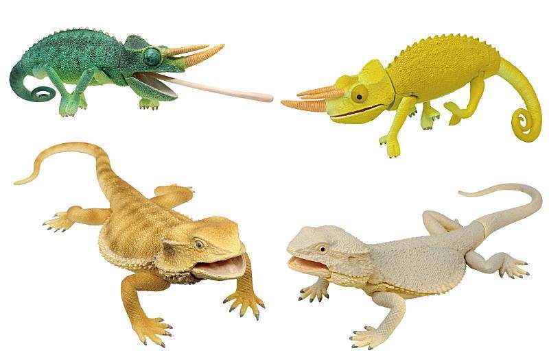 【全部揃ってます!!】あそべる生物フィギュアシリーズ トカゲキングダム [全4種セット(フルコンプ)]【C】