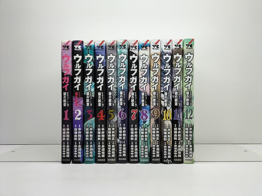 Hunter x Hunter Manga Set, Vol. 1-12