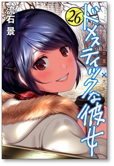 ドメスティックな彼女 流石景 [1-28巻 漫画全巻セット/完結