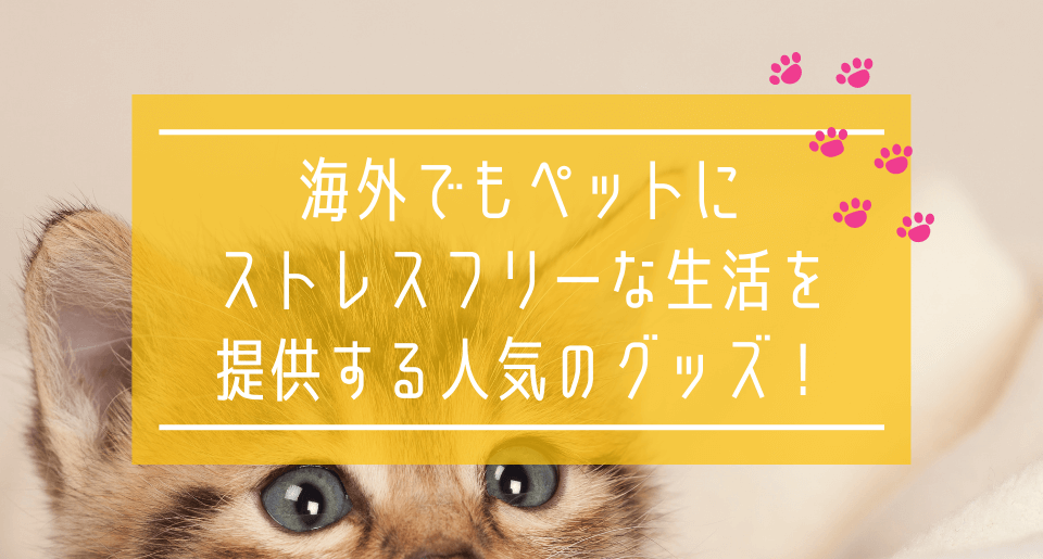 本物保証! マイフリーガード 犬用 M 10〜20kg 6本 動物用医薬品 qdtek.vn